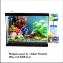 ��ǰ�̹���