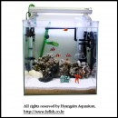 ��ǰ�̹���