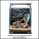 ��ǰ�̹���