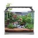 ��ǰ�̹���