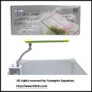 ��ǰ�̹���