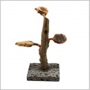 ��ǰ�̹���