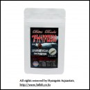 ��ǰ�̹���